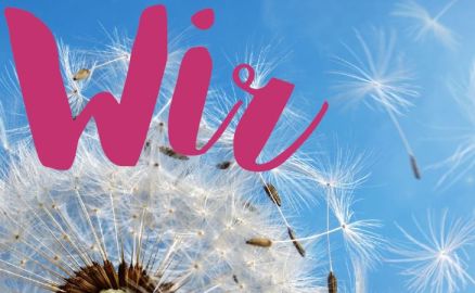 Titelblatt Wir Infobrief Nr. 70 mit einer Pusteblume
