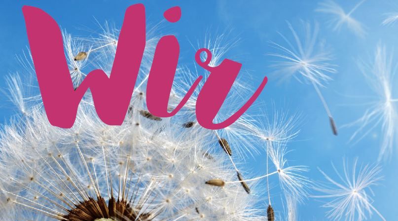 Titelblatt Wir Infobrief Nr. 70 mit einer Pusteblume