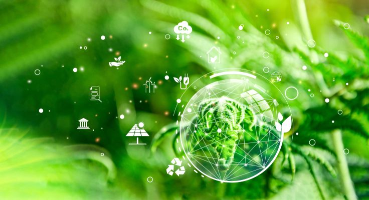 Hell gruenes Farn mit Umweltsymbolen