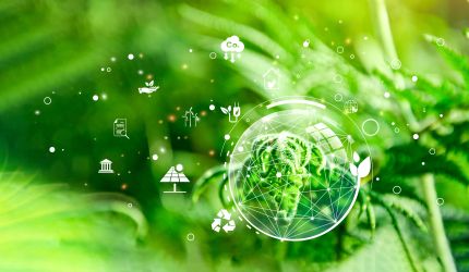 Hell gruenes Farn mit Umweltsymbolen