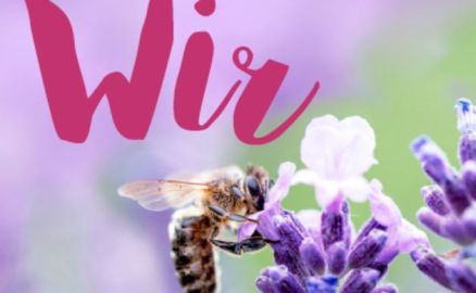 Titelblatt Wir 73 - Biene sitzt auf einer Lavendelblüte